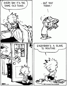 Calvin and Hobbs on routine